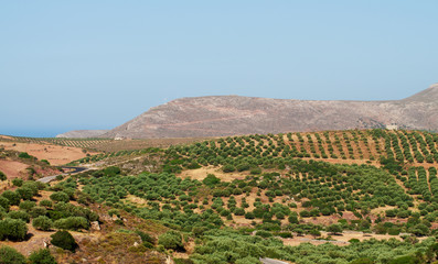 Tal auf Kreta