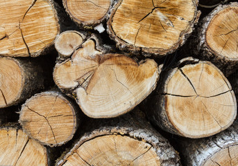 Firewood Background Closeup