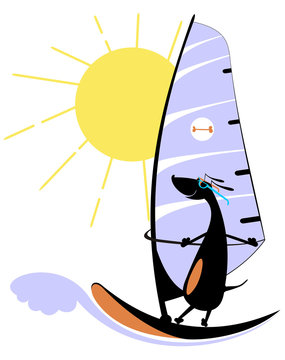 Comic dog goes in for windsurfing