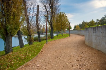 Green lawn and trees at the park