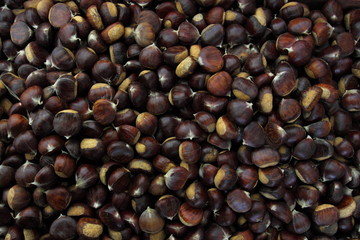 chestnut