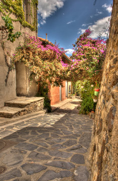 Fototapeta Fototapeta Ulica w Collioure, Francja wysoka