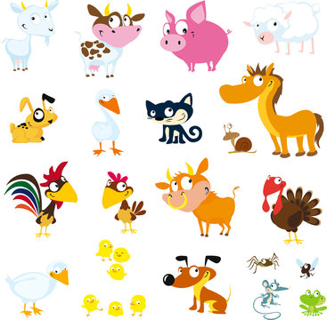 Set of simple images of farm animals - vector