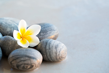 Plumeria flower and stones for spa background
