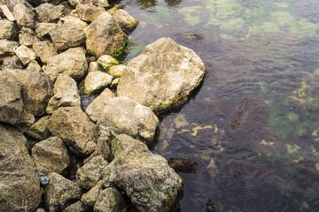Sea stone