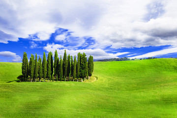 minimalism in nature - green hills of vall d'Orcia, Tuscany, Ita