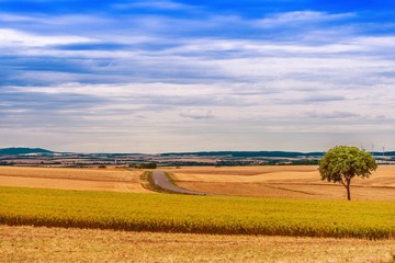 Austria Countryside Landscape