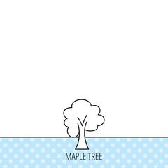 Maple tree icon. Forest wood sign.