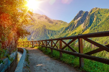 Swiss Alps Sunny Trail