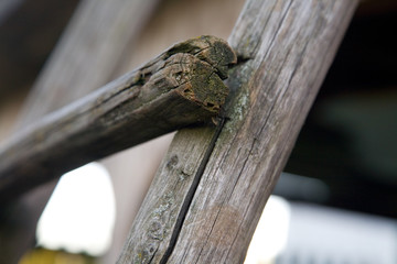 fragment of old wooden stairs