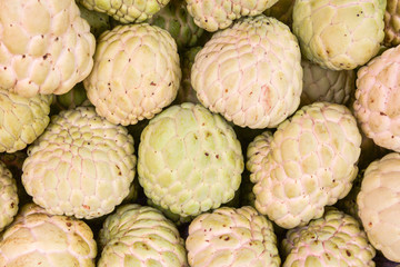 Custard apple