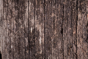 Old Wood Background.