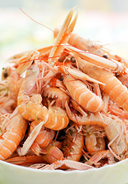Shrimps in a Bowl