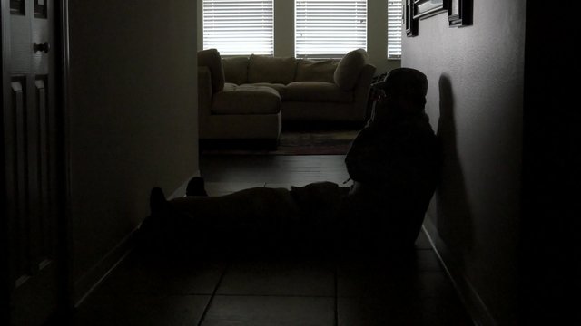 A soldier's dog rises to comfort him in the hallway, 4K