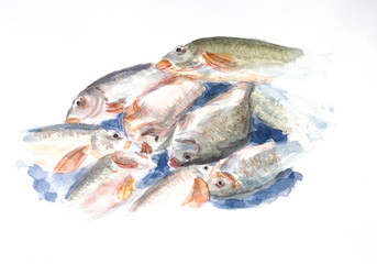 fishs watercolor painted