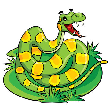 Snake Cartoon
Illustration of cute cartoon snake.