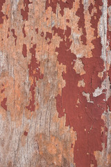 Wood old wall background