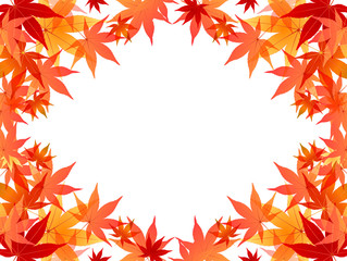もみじ　紅葉　背景
