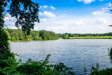 Shelley Lake view