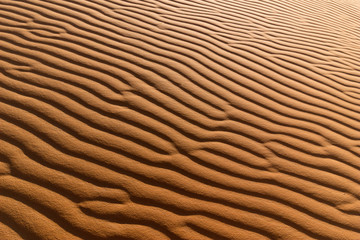 sahara desert