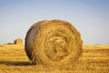 Hay bail harvesting in golden field landscape