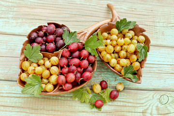 Gooseberries in wood plate on wooden background