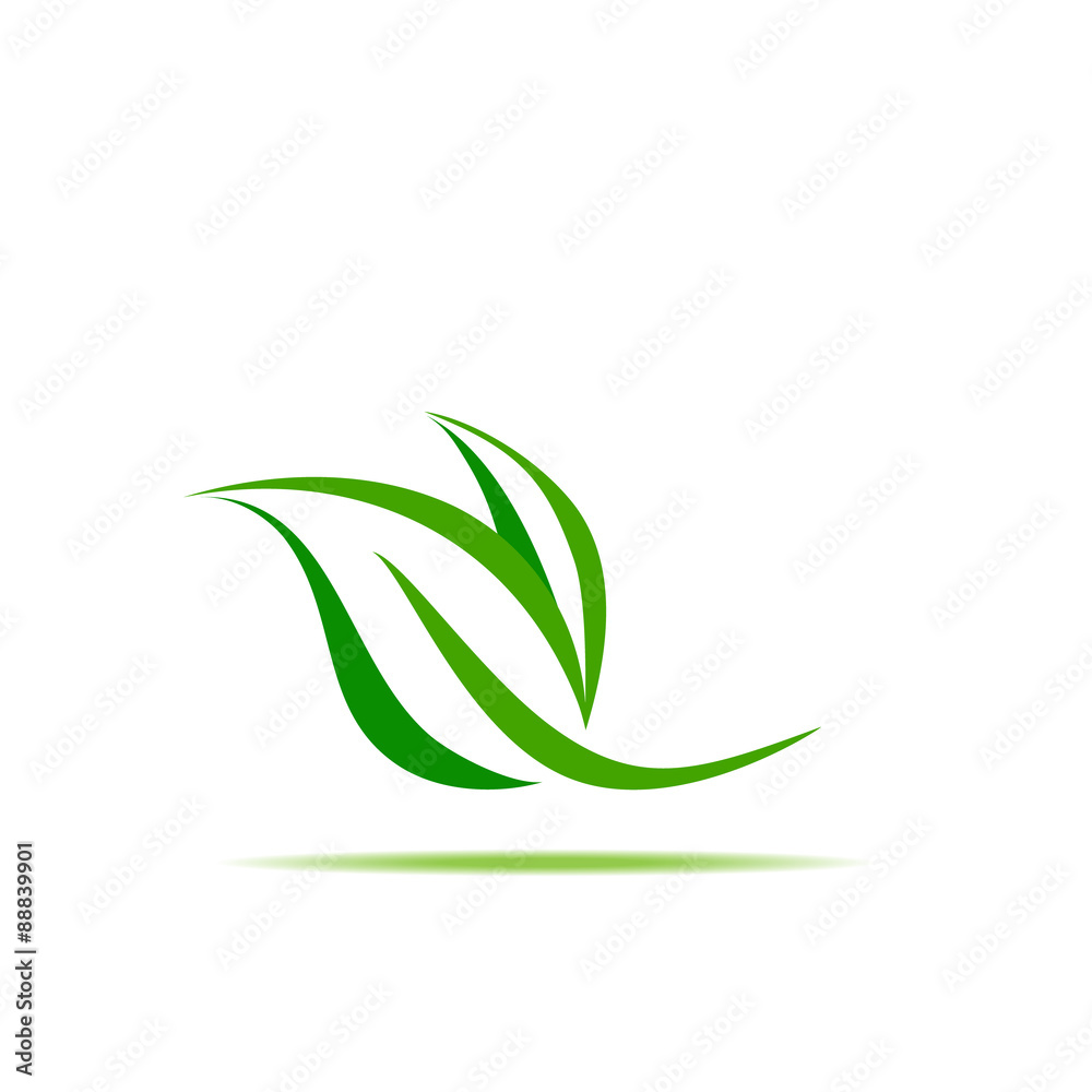 Wall mural green leaf symbol vector illustration icon