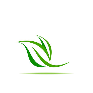 green leaf symbol vector illustration icon