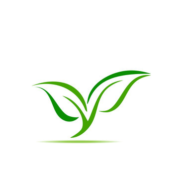 green leaf symbol vector illustration icon