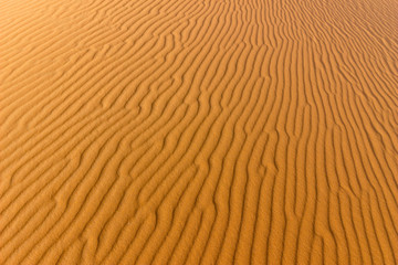 sahara desert