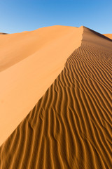 sahara desert