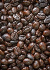 Roasted coffee beans.For art texture or web design and web backg
