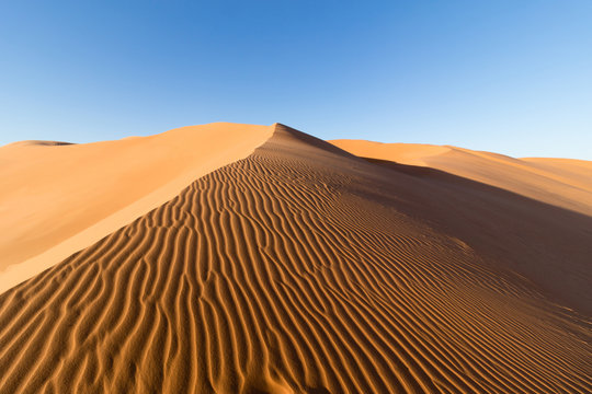 sahara desert
