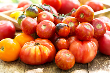 fresh tomatoes on wooden table