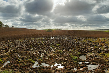Plowed field.