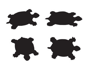 Vector group of turtle on white background