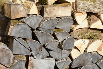 Stack of firewood piled high for winter