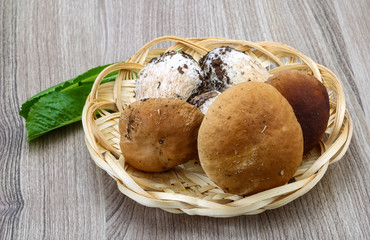 Wild Mushrooms