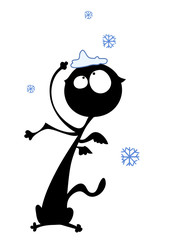 Funny winter cat