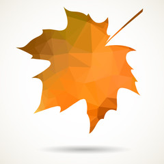 Triangular maple leaf