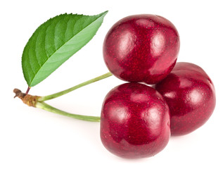 Three ripe red cherries on the white background.