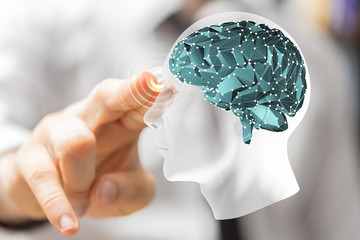 brain