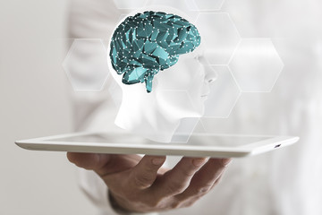 brain