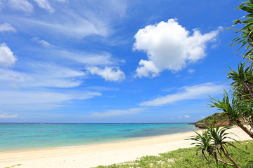 Plakat 南国沖縄の綺麗な珊瑚の海と夏空