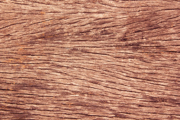 Naklejka premium Texture of wood.