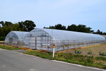 農業用ビニールハウス／山形県の庄内地方で農業用ビニールハウスの風景を撮影した写真です。