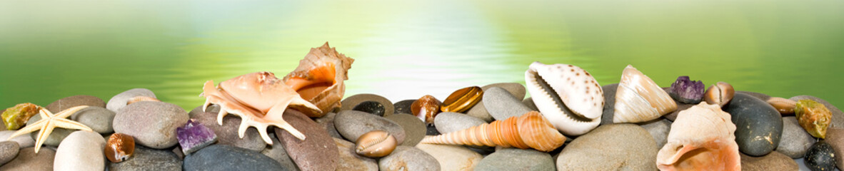 Obraz na płótnie Canvas stones and shells on water background