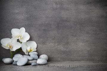 Plakat White orchid and spa stones on the grey background.