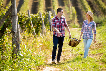 Happy couple in huge vineyard