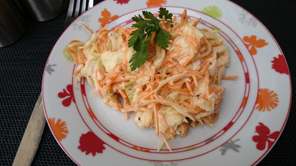 coleslaw 10082015